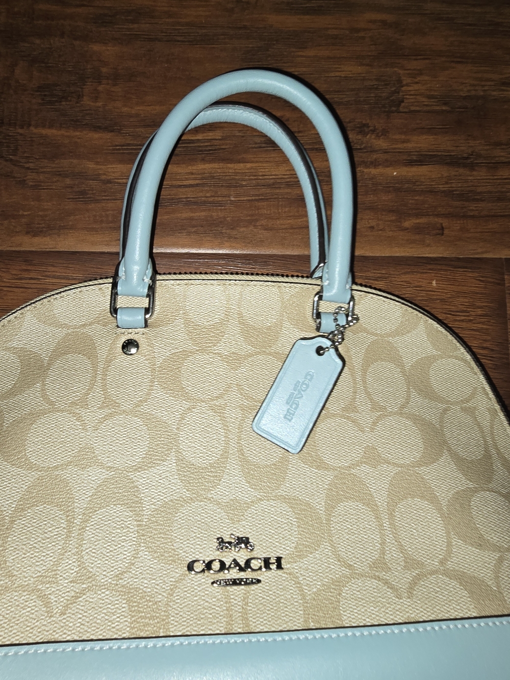 Coach Signature Dome Satchel in Light Blue and Beige